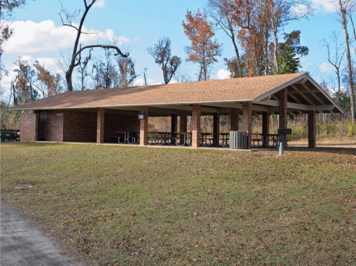 Sweetgum pavilion